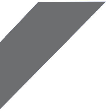 cae value logo right gray